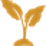 icon yield improvements